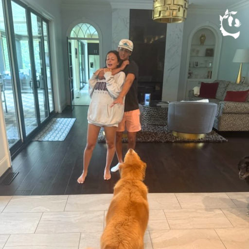 23fb46cc64194bd19ae54f7ab98d3847_tagged