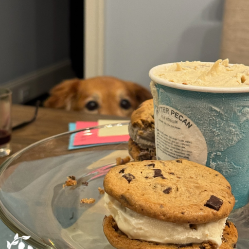 4910b2a37bfd4182882fa83c50ed24dc_tagged