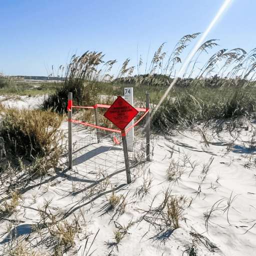 Boundaries1