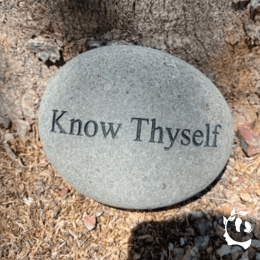Knowthyself