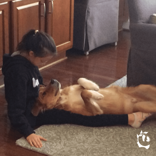 Puppy