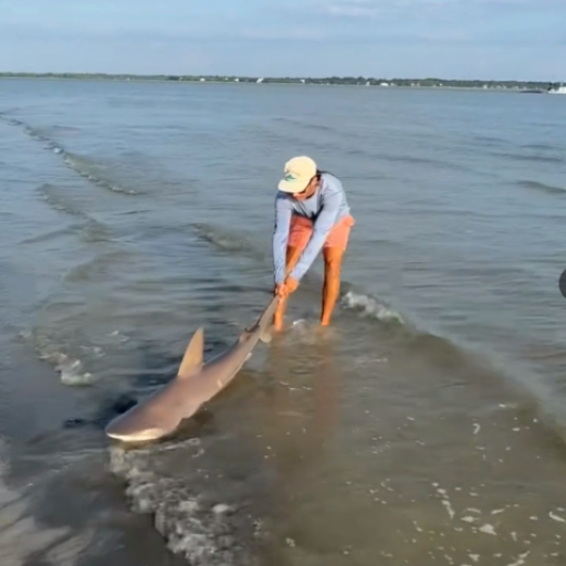 Screenshot 2026-01-19 183518