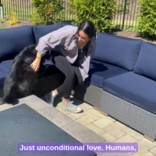 Screenshot 2026-03-16 224535