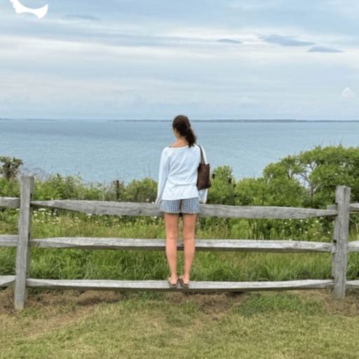 c93c4cc7-fe28-45ba-a892-f2f817ee6f64_tagged